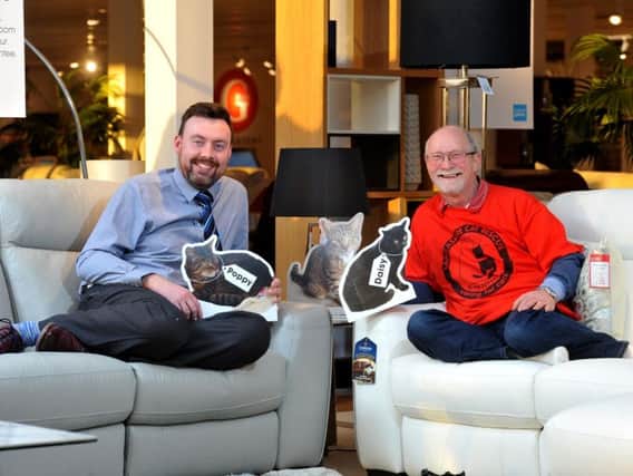 Tom Morris of Furniture Village has teamed-up with Brian Lomax of local pet adoption charity, Lancashire Cat Rescue  to create a British charity-retail first in which life-size images of adoptable cats needing homes will appear throughout the store.