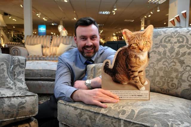 Tom Morris of Furniture Village with one of the cats needing a home this Christmas