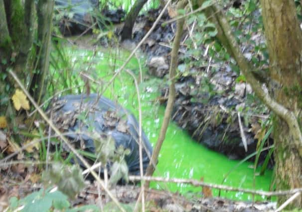 Black bin bags of rubbish and a mystery green "dye"  in a stream off Cottam Lane, Ingol, are creating  a local eyesore  and a possible health hazard, says campaigner Bill McGrath