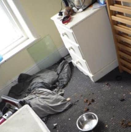 Two Staffordshire Bull Terriers Prince and Rosie were left in an abandoned flat in Blackpool.