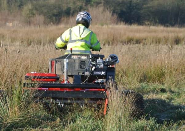 Reserve Officer Duncan Goulder mows a patch of dense rush. Lapwing need a new habitat