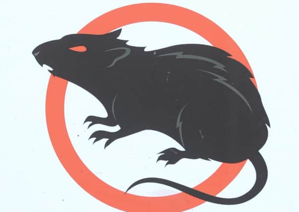 Sign to stop people feeding rats in Moor Park