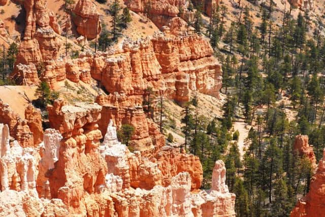 Paul Williamsons photo of Bryce Canyon