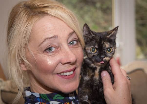 Julie Tattler of Noah's Ark Rescue and Sanctuary in Tarleton is appealing to TV's supervet on behalf of her rescue kitten Betty.
Betty can't open her mouth properly - she has had four operations to "tear the skin", but skin keeps growing back and Julie says the TV supervet is her last hope. The Sanctuary has set up an appeal for Betty, who has to have physio every hour.