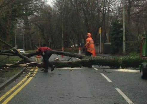 Hill Road South in Penwortham has been blocked by a falling tree during Storm Doris.