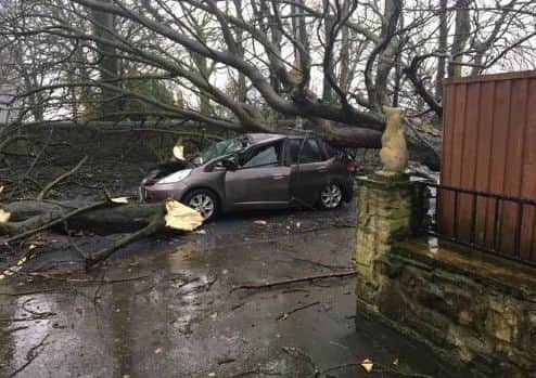 Car smashed up by falling tree in Wrightington during Storm Doris