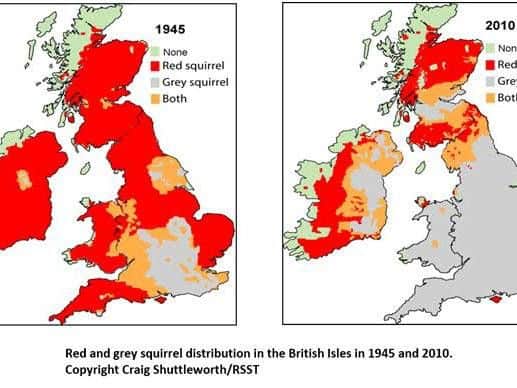 Red and grey squirrel distribution in the Biritsh Isels in 1945 and 2010