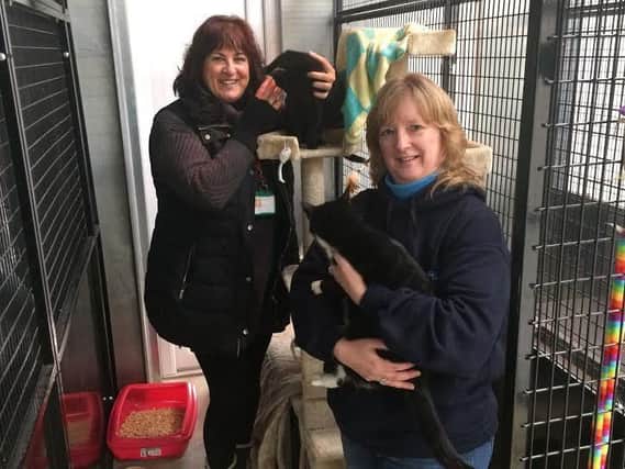 Ursula and Michelle in the cattery at the Myerscough College Animal Studies Centre, with recent arrivals, Ebony and Missy.