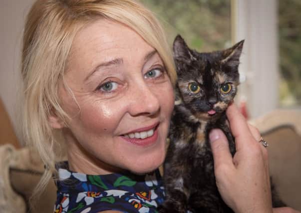Julie Tattler of Noah's Ark  Rescue and Sanctuary in Tarleton with  rescue kitten Betty.
 The Sanctuary has set up an appeal for Betty, who has to have physio every hour.