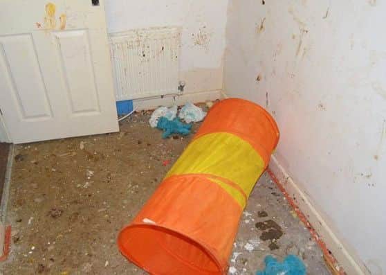 Used nappies and faeces on the walls of a house where four children were living in Leyland. Their parents admitted child neglect when they appeared at Preston Crown Court on March 8, 2017