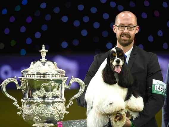 Owner Jason Lynn with Afterglow Miami Ink the American Cocker Spaniel (centre), who has been crowned Best In Show during day four of Crufts 2017