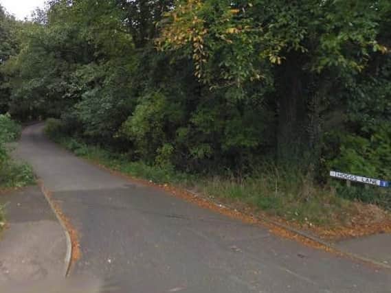 Police are appealing for information after a woman suffered an 'unprovoked assault' while walking her dog.