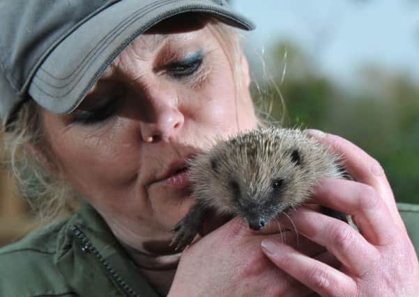 Janette Jones has been helping animals like Milly the hedgehog