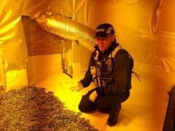 Officers discovered a cannabis factory on Haysworth Street