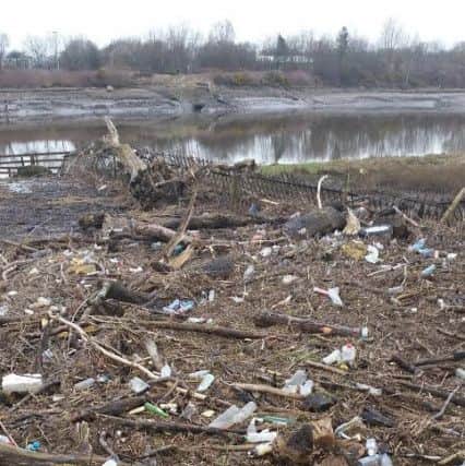 Ribble Rivers Trust and the Preston Bird Watching and Natural History Society organise a litter pick on the South Ribble Bank. This is what was collected how the bank looks in 2016 before the pick.