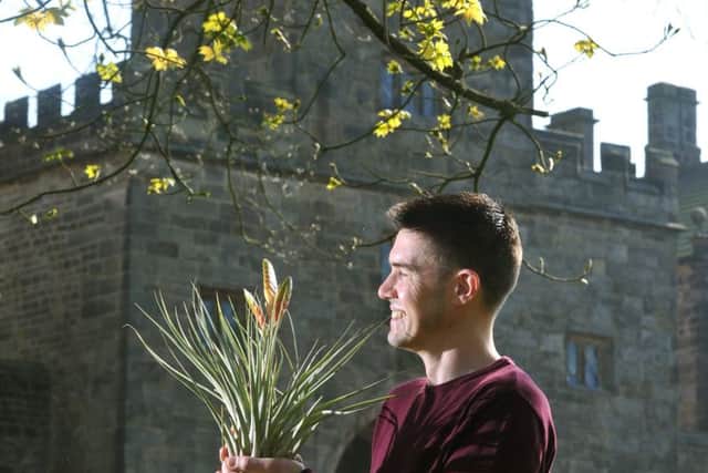 Photo Neil Cross
Plant Hunter Fair at Hoghton Tower
Alex Donaldson of Crafty Plants with a Tillandsia Fasciculata