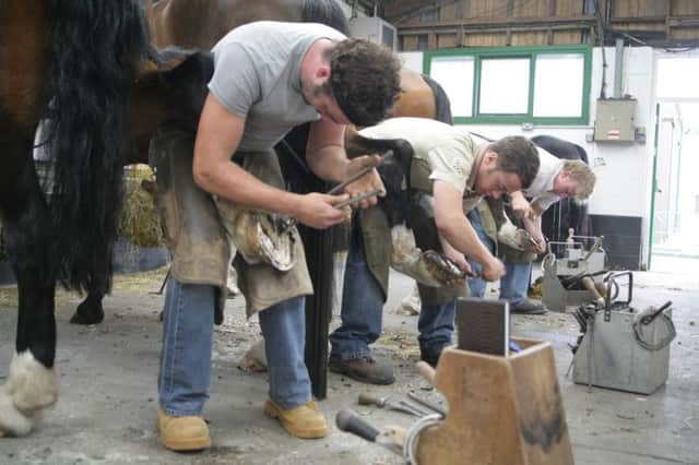 Myerscough College Farrier students at work