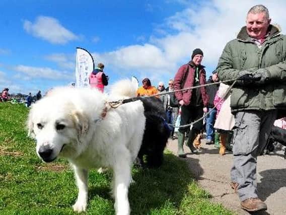 Bark in Park is a great family event being held in Lancaster's Williamson Park