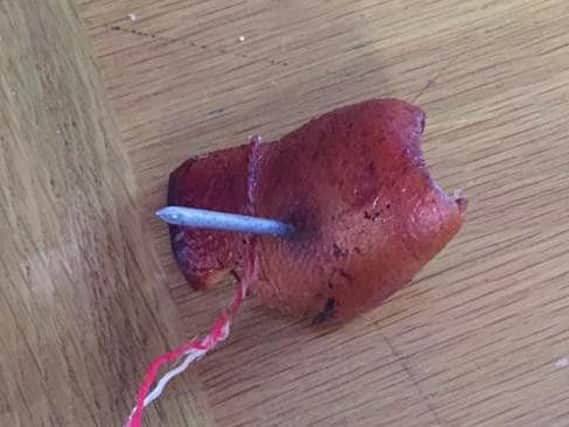 A dog returned to its owner with the "sickening" treat in its mouth
Pic: Tracy Hollinshead