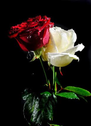 23 May 2017.......    Red Rose White Rose for Manchester bombing. Picture Tony Johnson.