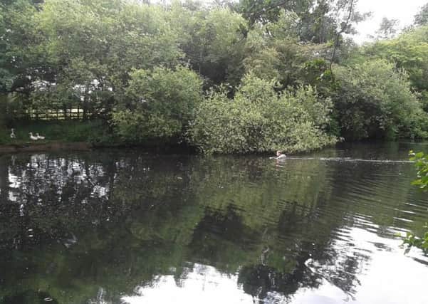 Clean-up operation at Farington Lodges after thousands of dead fish were found