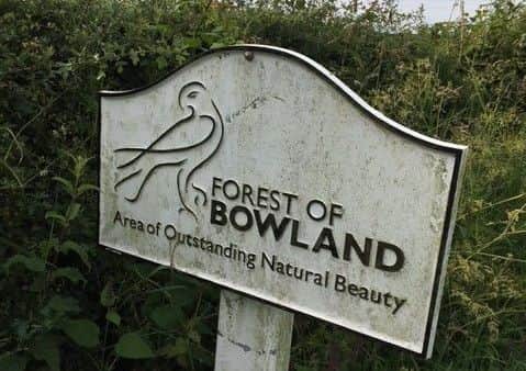 The Forest of Bowland Area of Outstanding Natural Beauty sign with harrier logo