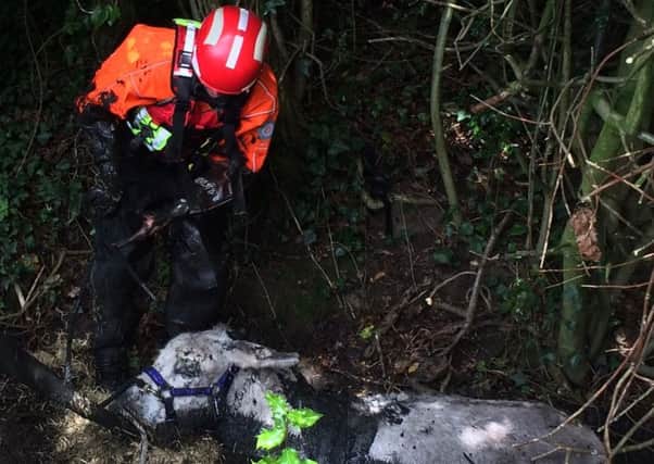 Members of Lancashire Fire and Rescue's Urban Search and Rescue Team helped Frizzel the donkey, who had become stuck in a brook near Tincklers Lane, Mawdesley.