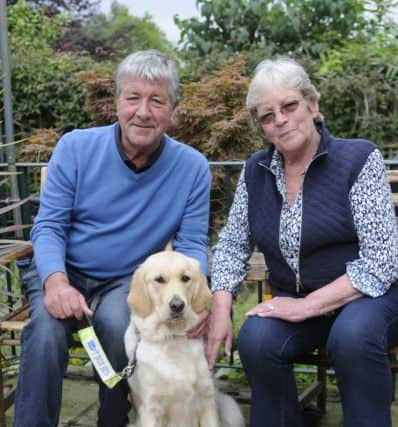 Dave Keeley and Lynda Keeley are training puppy Tilly to be a guide dog