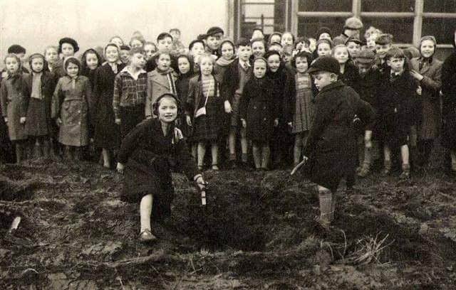 1950 tree planting at Fox Lane Junior School in Leyland