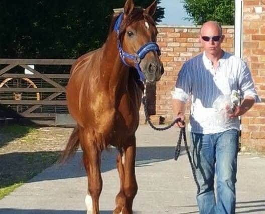Alex Harris at The ARC Equestrian Rescue Centre in Banks