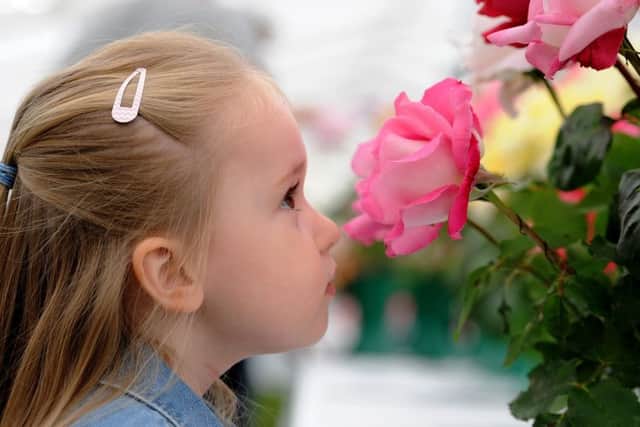 Annual Chorley Flower Show at Astley Hall, Chorley. Jessica Rose aged 4 from Clayton Le Woods smells the roses. Picture by Paul Heyes, Saturday July 29, 2017.