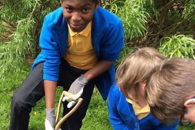 Youngsters at work and play at Higher Walton Primary's forest school