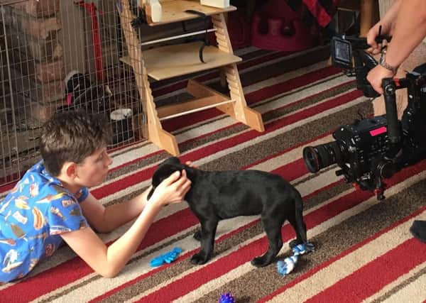 Emma Lowe and her twin boys, Alfie and Arthur, are featuring in a documentary called 10 Puppies and Us. It follows the progress of the boys, who both have Down Syndrome and autism, and puppy Hunter, who is a therapy dog.