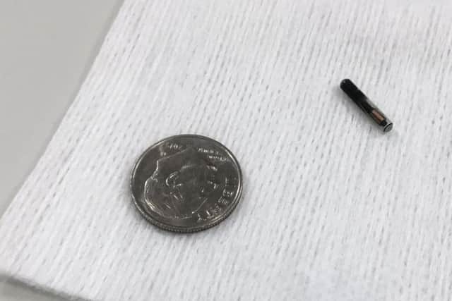 A microchip is shown compared with a dime