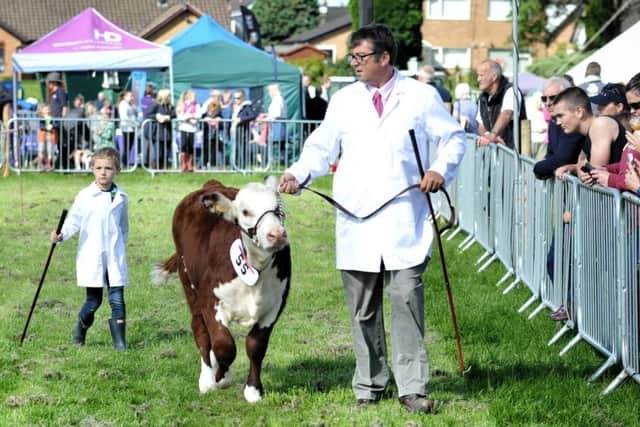 Picture by Julian Brown 05/08/17

Graham Shepherd with nephew Joseph Shepherd (6) pictured during the cattle judging


Garstang Agricultural show