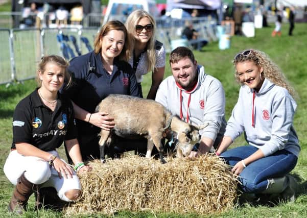 Picture by Julian Brown 05/08/17

Winmarleigh Young Farmers pictured left, Izzy Eames, Lucy Raby, Rosie Hewitt, Tom Bennett and Abbie Hewitt with their Pygmy Goat "Mary"

Garstang Agricultural show