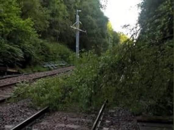 Train services from Preston have been disrupted this morning after a tree fell on the line at Adlington, says National Rail.
