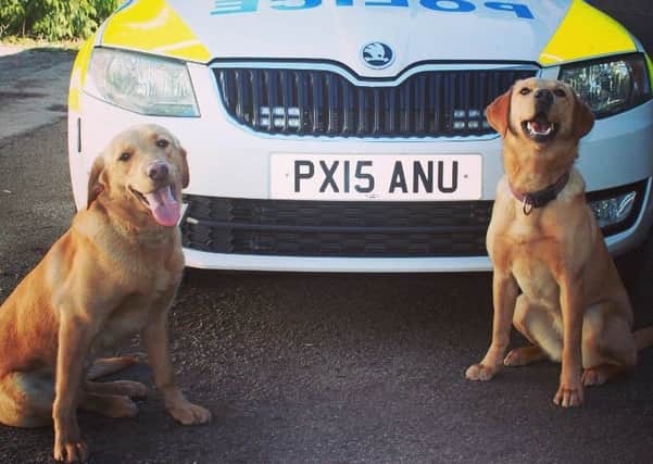 Cumbria police dogs Harley and Sansa have completed their training to become the Forces first Forensic Evidence Search dogs and the North Wests only Drowned Victim Recovery dogs.