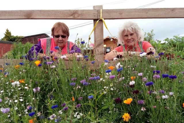Volunteer Carol Strickland, who is in her 60s and chairman of Chorley in Bloom Iris Smith, 70