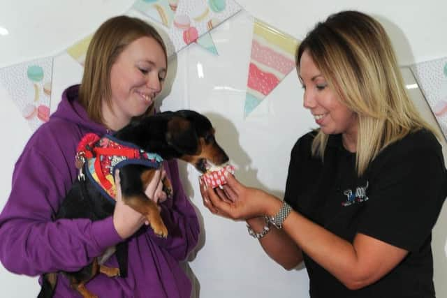 Manager Emma Duffin feeds a 'pup cake' to Penny Gale's dog Matilda