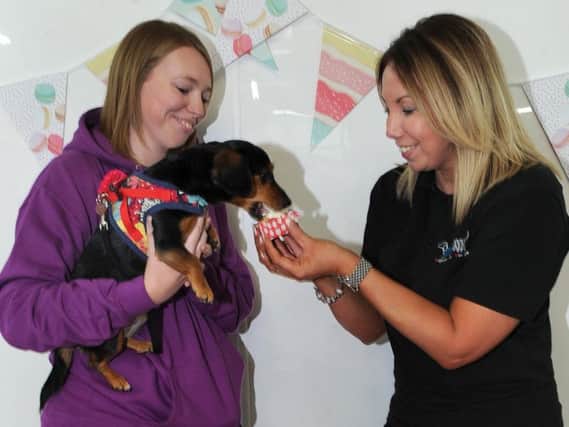 Manager Emma Duffin feeds a 'pup cake' to Penny Gale's dog Matilda