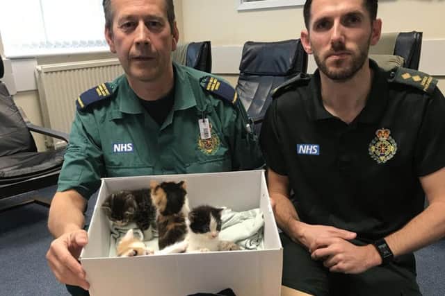 Chorley based paramedics Mike Diskin (left) and Steve Doheny with the rescued kittens