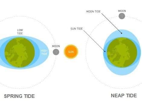 What are spring and neap tides.
