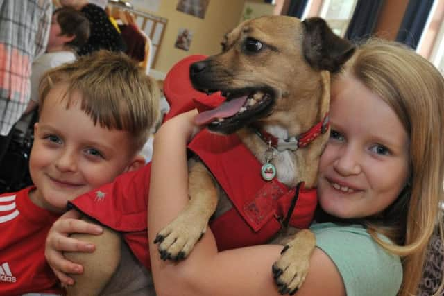 Children have fun at the doggy fashion show