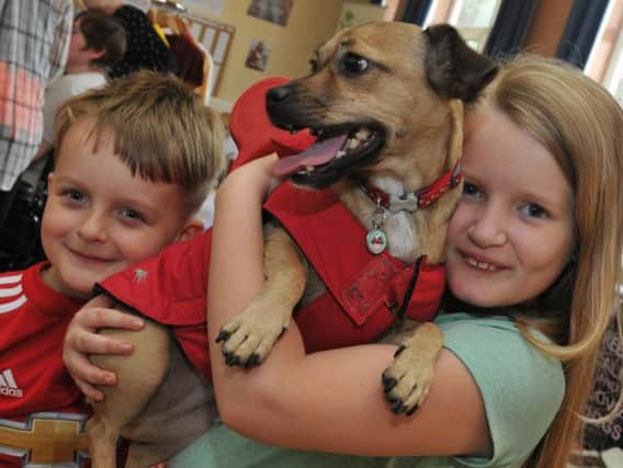 Children have fun at the doggy fashion show