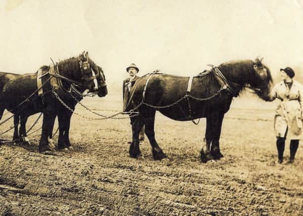 This photograph was taken in the Talbot Meadow, off Garstang Rd, Chipping, now the site of the village hall, football fields and childrens play area. During the WW1 women were needed to work on the land. This photograph shows training in ploughing.