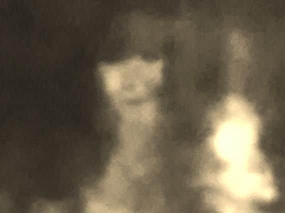 Image of girl in a white dress believed to be the ghost of Pendle Witch Jennet Device captured by ghost hunter Christine Hamlett
