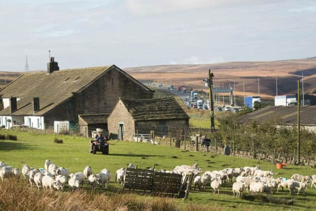 Farmer Paul Thorp with his son John Thorp at Stott Hall farm