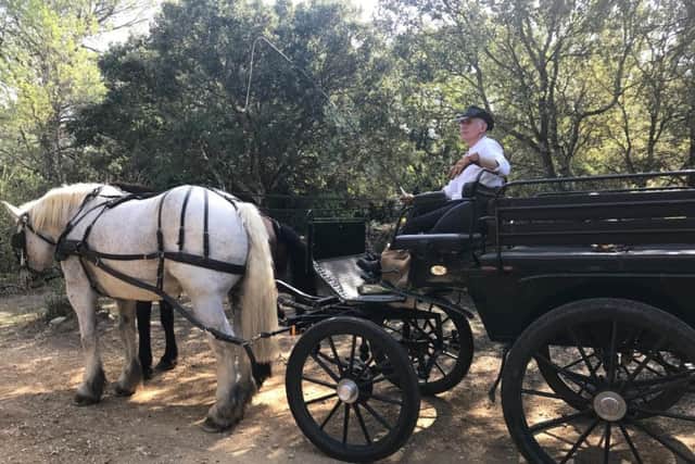 Horse and carriage ride through the vineyards in Le Gard