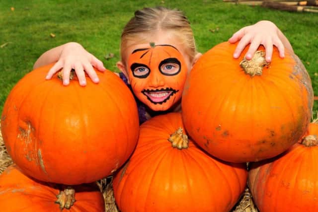 Photo: David Hurst
5 year old Poppy Wilson and her pumpkins at the Harry Potter Family Fun Day in aid of The Christie held at Heskin Hall, Eccleston,